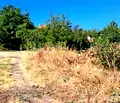 Снимка 4 — Парцел в Пловдив, с. Брестник