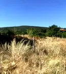 Парцел в Пловдив, с. Брестник