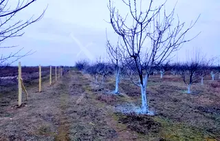 Парцел в Пловдив, с. Цалапица