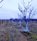 Парцел в Пловдив, с. Цалапица
