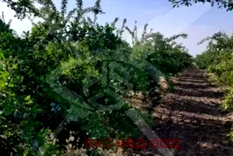Парцел в Пловдив, с. Цалапица