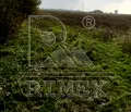 Снимка 2 — Парцел в Пловдив, с. Царимир