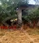 Парцел в Пловдив, с. Дълго поле