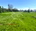 Снимка 3 — Парцел в Пловдив, с. Голям чардак