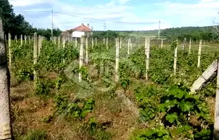 Парцел в Пловдив, с. Горна махала