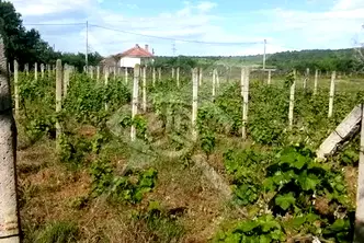 Парцел в Пловдив, с. Горна махала