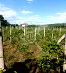 Парцел в Пловдив, с. Горна махала