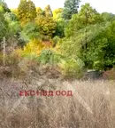 Парцел в Пловдив, с. Крумово