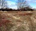 Снимка 4 — Парцел в Пловдив, с. Марково