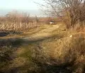 Снимка 3 — Парцел в Пловдив, с. Първенец
