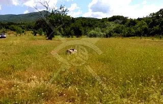 Парцел в Пловдив, с. Сърнегор