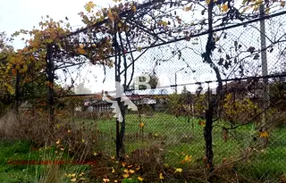 Парцел в Пловдив, с. Ведраре