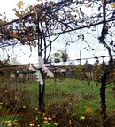 Парцел в Пловдив, с. Ведраре