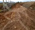 Снимка 3 — Парцел в Пловдив, с. Войводиново