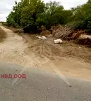 Парцел в Пловдив, с. Зелениково
