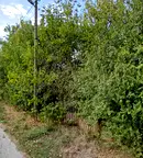 Парцел в Русе, с. Бръшлен