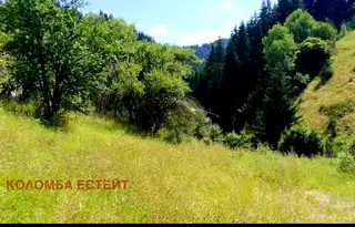 Парцел в Смолян, Чепеларе
