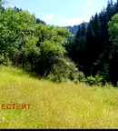 Парцел в Смолян, Чепеларе