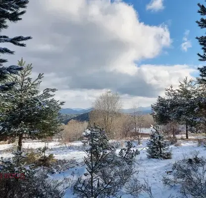Photo 3 — Plot in Oblast Smolyan, Pamporovo