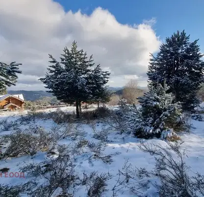 Photo 4 — Plot in Oblast Smolyan, Pamporovo