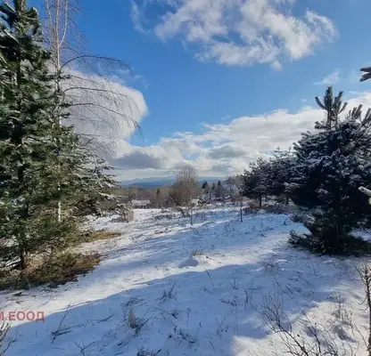 Photo 5 — Plot in Oblast Smolyan, Pamporovo