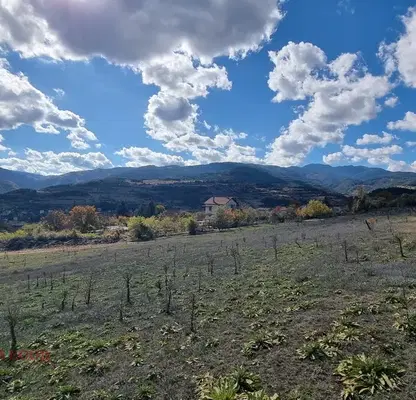 Photo 2 — Plot in Oblast Smolyan, Hvoina