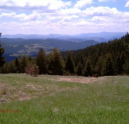 Photo 2 — Plot in Oblast Smolyan, Momchilovci