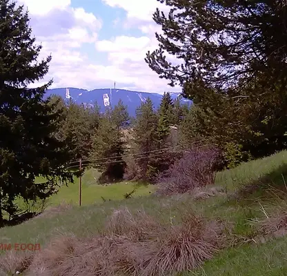 Photo 4 — Plot in Oblast Smolyan, Momchilovci