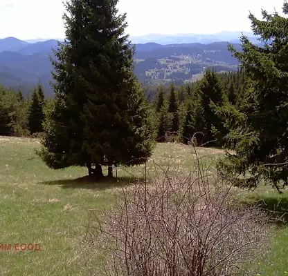 Photo 5 — Plot in Oblast Smolyan, Momchilovci