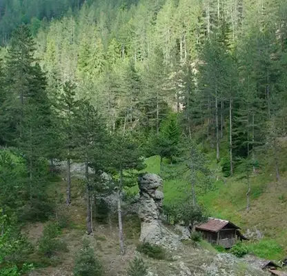 Photo 2 — Plot in Oblast Smolyan, Sokolovci