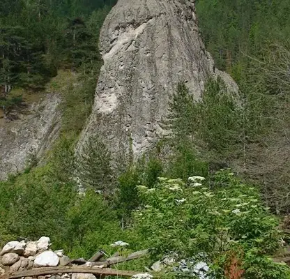 Photo 4 — Plot in Oblast Smolyan, Sokolovci