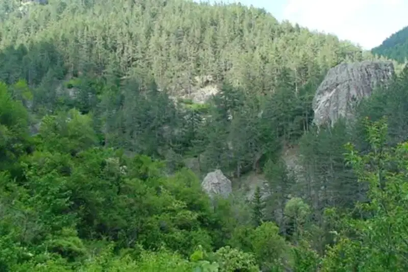 Plot in Oblast Smolyan, Sokolovci