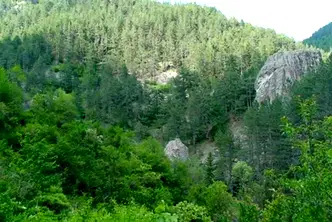 Парцел в Смолян, с. Соколовци