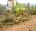Снимка 2 — Парцел в София, Ботев