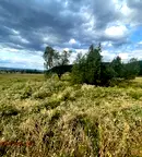 Парцел в София, Самоков
