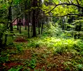 Снимка 4 — Парцел в София, к.к. Боровец