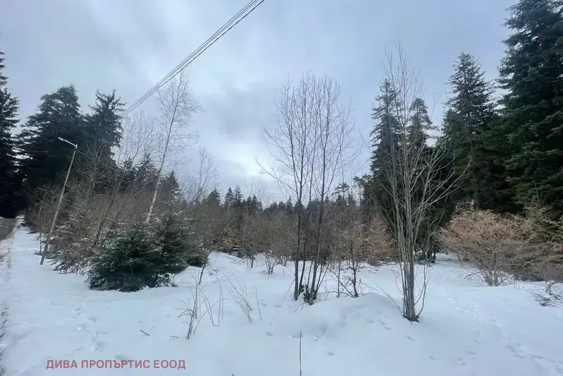 Plot in област София, Borovec