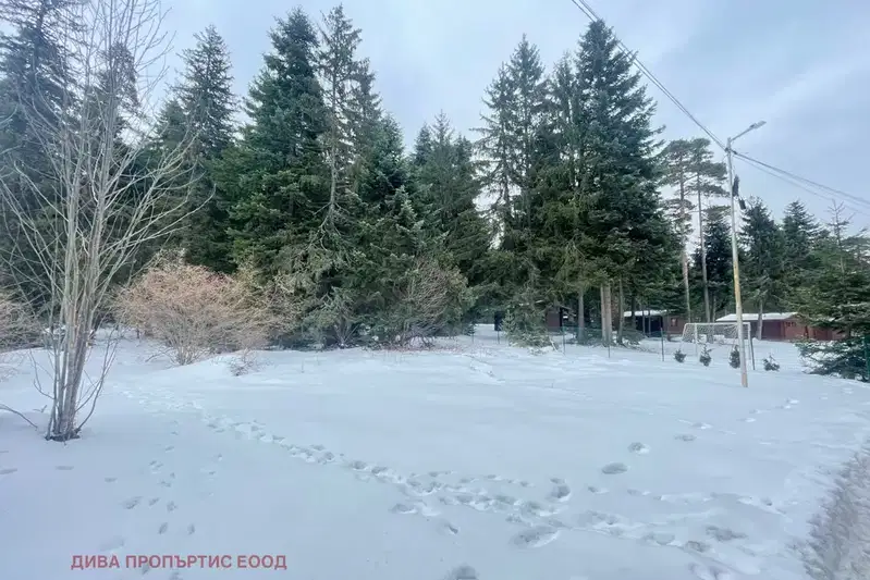 Plot in област София, Borovec