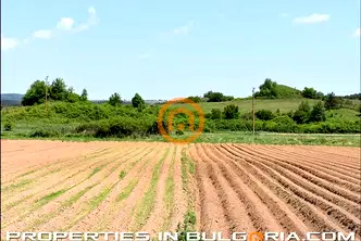 Парцел в София, с. Алино