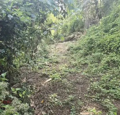 Photo 2 — Plot in област София, Brusen