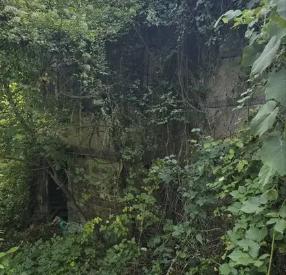Photo 3 — Plot in област София, Brusen