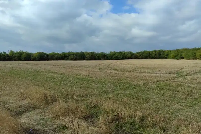 Plot in област София, Hrabyrsko