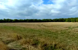 Парцел в София, с. Храбърско