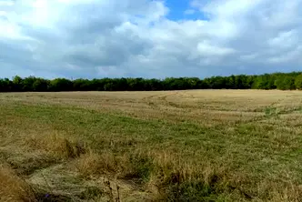 Парцел в София, с. Храбърско