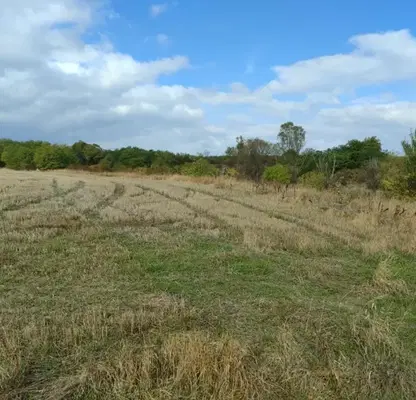 Photo 2 — Plot in област София, Hrabyrsko