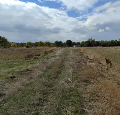 Photo 3 — Plot in област София, Hrabyrsko