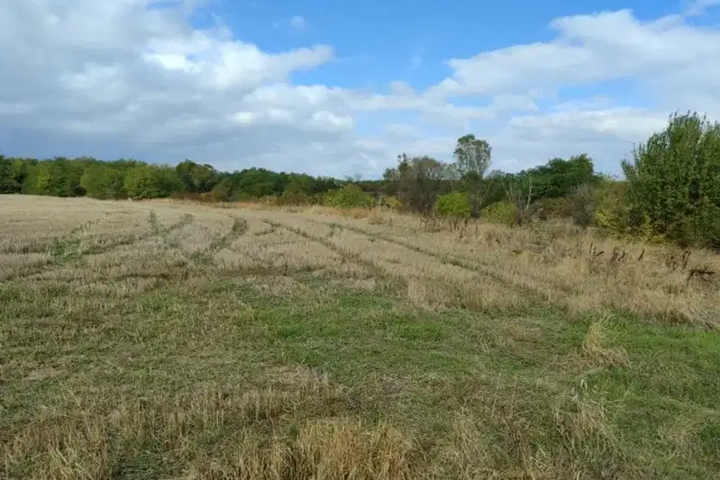 Plot in област София, Hrabyrsko