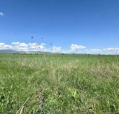 Photo 3 — Plot in област София, Musachevo