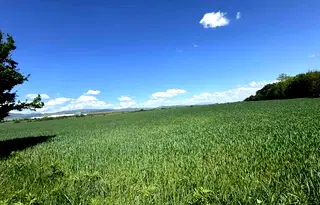 Парцел в София, с. Мусачево