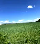 Парцел в София, с. Мусачево